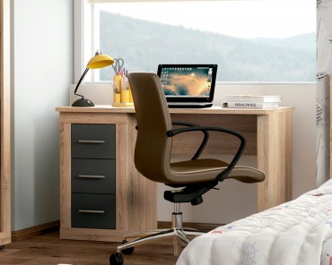 MESA DE ESTUDIO LARA JUVENIL