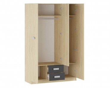 Armario 3 puertas y 2 cajones Donald